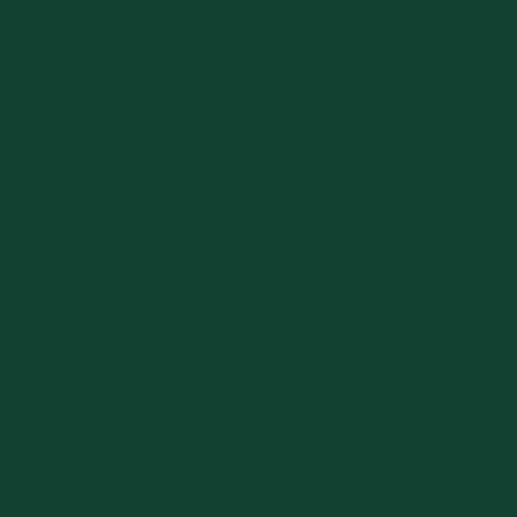 RAL 6005 MATT