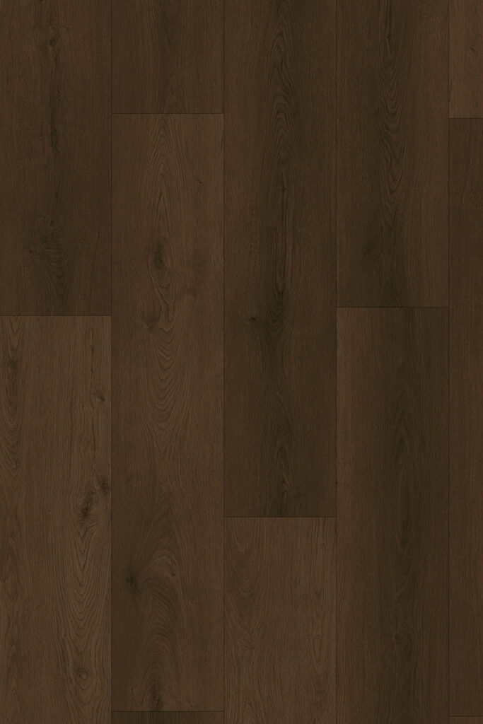 Tigris Chocolate Fudge TIG 5764 IB