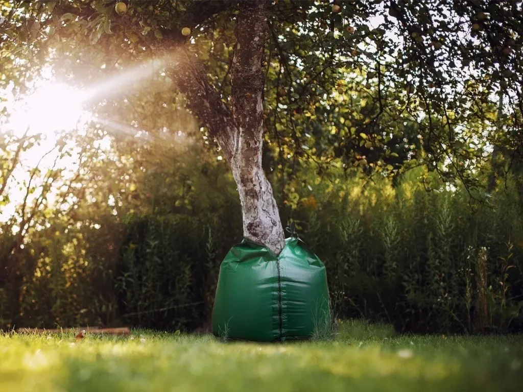 ECC O bag 5 1200x1080