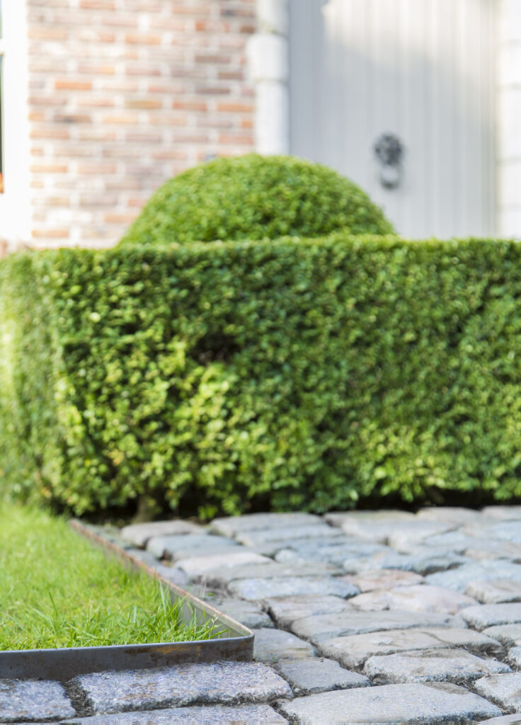 ECCOborders Easyfix LI S01