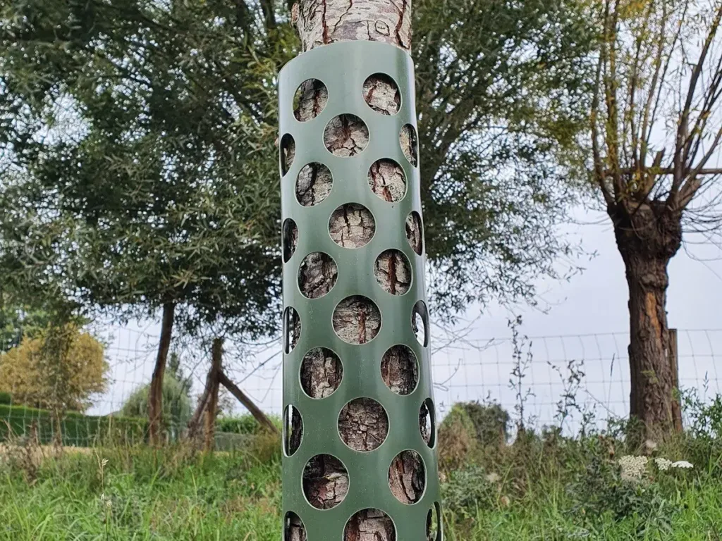 Tree Guard 4 1200x900